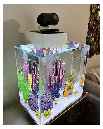 Automatic Fish Feeder for Aquarium Easy Setup & 4 Timers — collection imagery