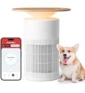 WiFi Water Leak Detector for Home — collection imagery