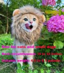 Lion Mane Wig for Cat Costume Pet Adjustable Washable Comfortable Fancy Lion Hair Cat Clothes Dress for
