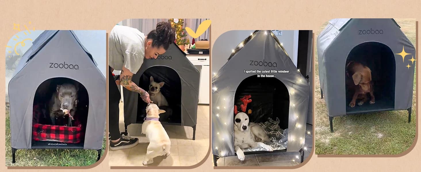 Large Dog House Outdoor — 36in Elevated 2-in-1 Cot and Canopy — collection imagery