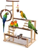 Bird Playground Wooden Parrot Stand for Small and Medium Birds