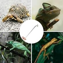 2PCS 10.6" Stainless Steel Aquarium and Reptile Feeding Tweezers — Versatile use