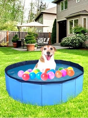 Dog Pool — Foldable Pet Swimming Pool with 6mm High-Strength PP Board — product details