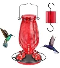 Glass Hummingbird Feeder for Outdoors Hanging — collection imagery
