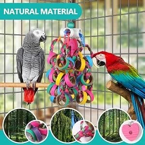 Bird Toys Conure Toys, Bird Parrot Foraging Shredder 24 Pcs Colorful Bagel Chewy Rings for Small Parrots — Innovative Design Features