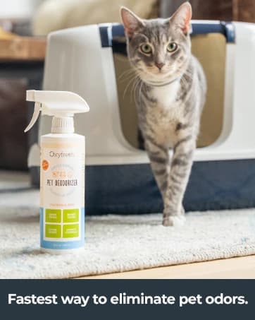 Pemium Crate and Cage Cleaner – Safe — collection imagery