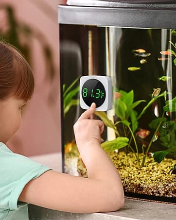 Real-time Display LED Digital Reptile Thermometer and Humidity Gauge — collection imagery