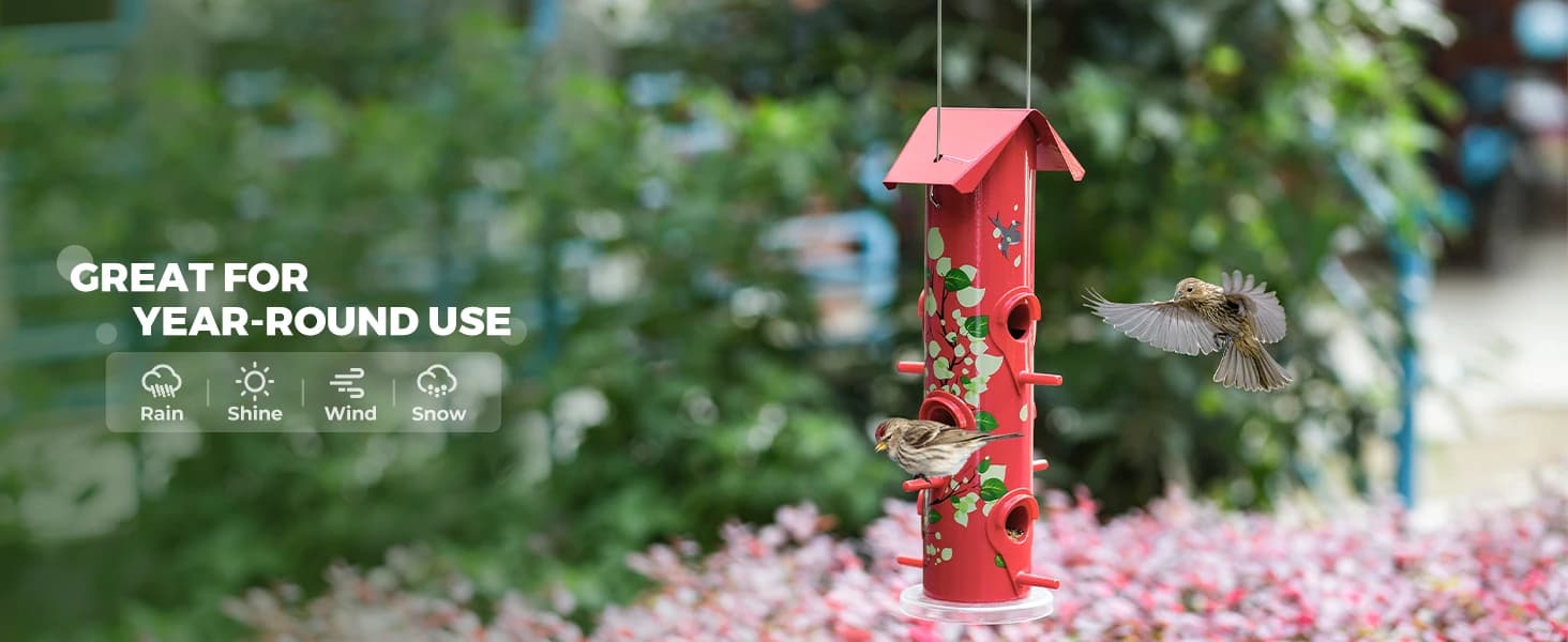 Metal Bird Feeders for Outdoors Hanging — collection imagery