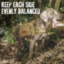 Dog Backpack for Medium and Large Dogs