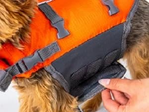 Granby Splash Dog Life Jacket — Confidence in Every Splash