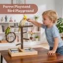 Bird Playground — Natural Wooden Parrot Play Stand