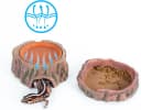 3 in 1 Reptile Hide Cave with Detachable Base and Humidity Dish