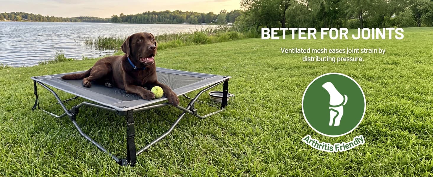 Outdoor Dog Bed — Cooling Elevated Pet Bed Portable Raised Dog Bed with Breathable Mesh — product details