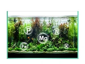 Aquarium Soil for Planted Tanks — Nutrient-Rich Organic Formula