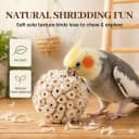 Bird Toys Sola Balls 2.36'' - 6PCS — Bird Foraging Toy