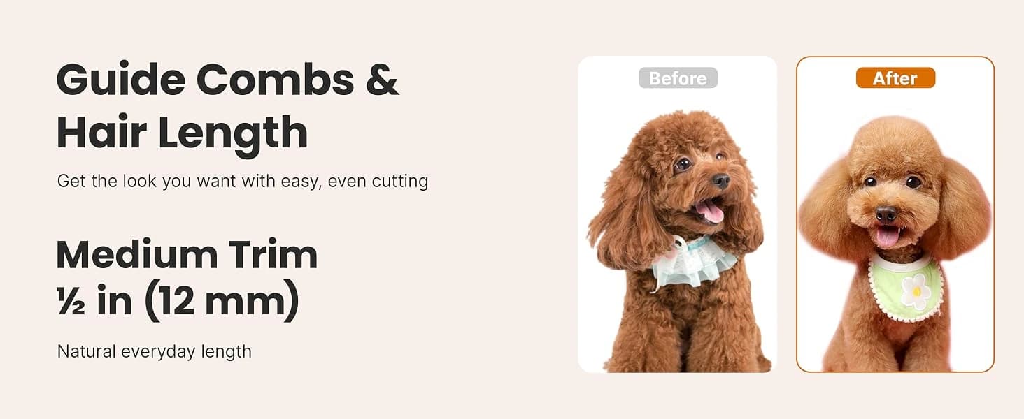 P1 Pro Dog Grooming Vacuum — 6-in-1 Kit — collection imagery