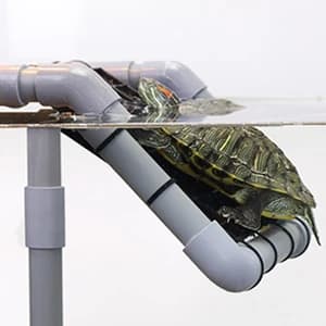Large Turtle Basking Platform for Aquatic Turtles — collection imagery