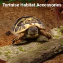 10 Pcs Reptile Carpet 12x12 Inch Coconut Fiber Mat for Tank Bedding
