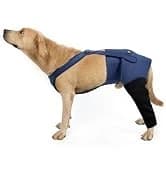 Dog Lift Harness, Pet Support and Rehabilitation Sling Lift Adjustable Padded Breathable Straps for Old — collection imagery