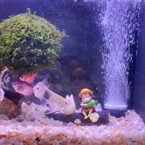 Mini Aquarium Air Stone, Small Bubble Stone Fish Tank Oxygen Stone Ultra Silent Deep Dissolving Oxygen Diffuser — product details