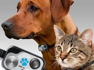 Genuine Power Pet Fully Automatic Pet Door from Brand. Pet Collar Operated — Unique Advanced Features