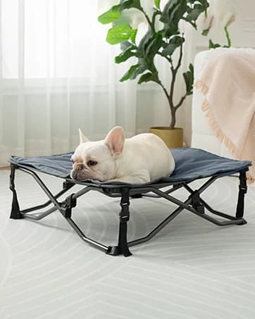 Outdoor Dog Bed — Cooling Elevated Pet Bed Portable Raised Dog Bed with Breathable Mesh — collection imagery