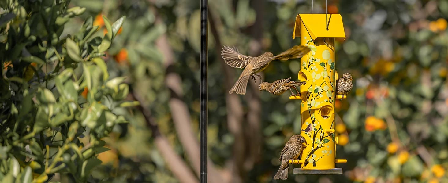 Metal Bird Feeders for Outdoors Hanging — product details