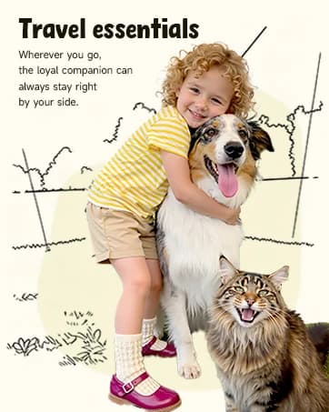 Center Console Dog Car Seat for Small Pets to 11lbs — collection imagery