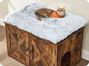 Cat Litter Box Enclosure — End Table — Create a Cat Corner