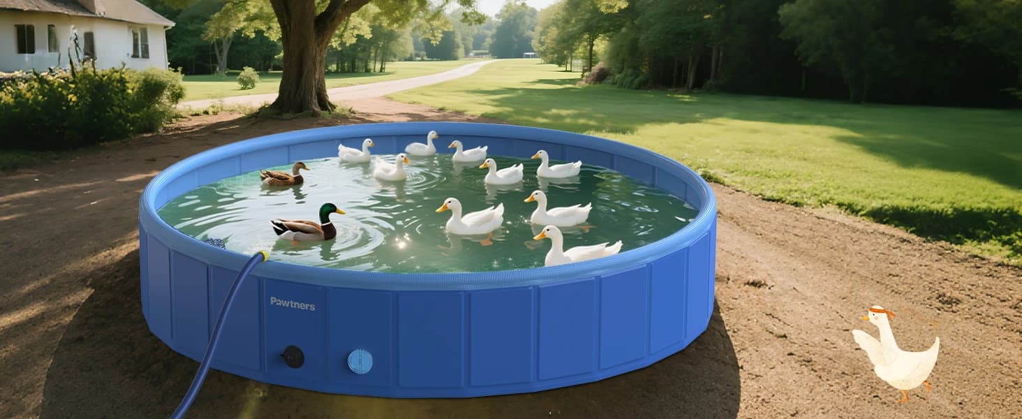 Foldable Dog Pool with Sprinkler and RGB LED Light — collection imagery