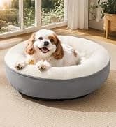 Dog Stairs for High Bed, Foldable Pet Stairs for Small and Medium or Large Dogs Puppy with Storage for Bed or — collection imagery