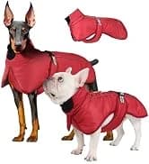 Dog Backpack for Small Dogs to Wear — collection imagery