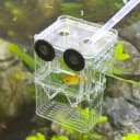 Aquarium Fish Breeder Box Plastic Fish Isolation Breeding Box Hatching Incubator Box for Baby Fishes Shrimp