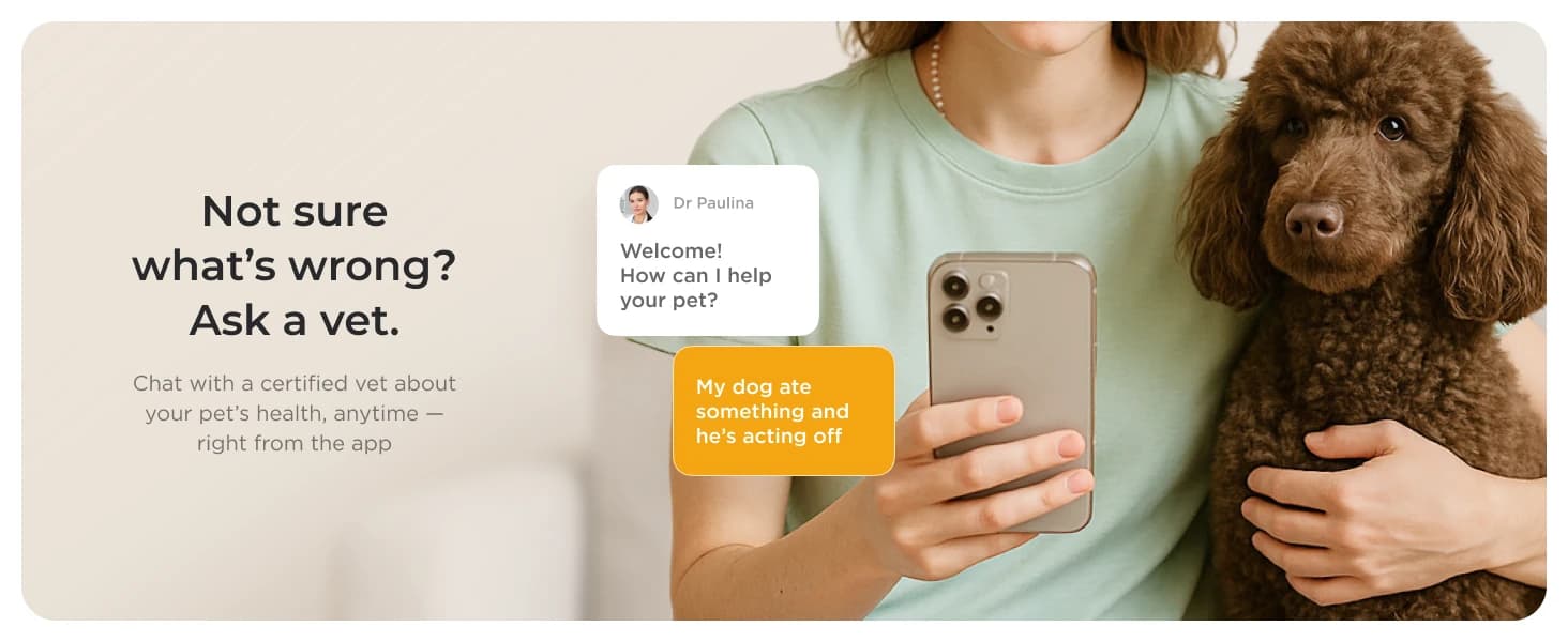 Cam 360 – Wi-Fi Pan-Tilt Pet Security Camera with App — product details