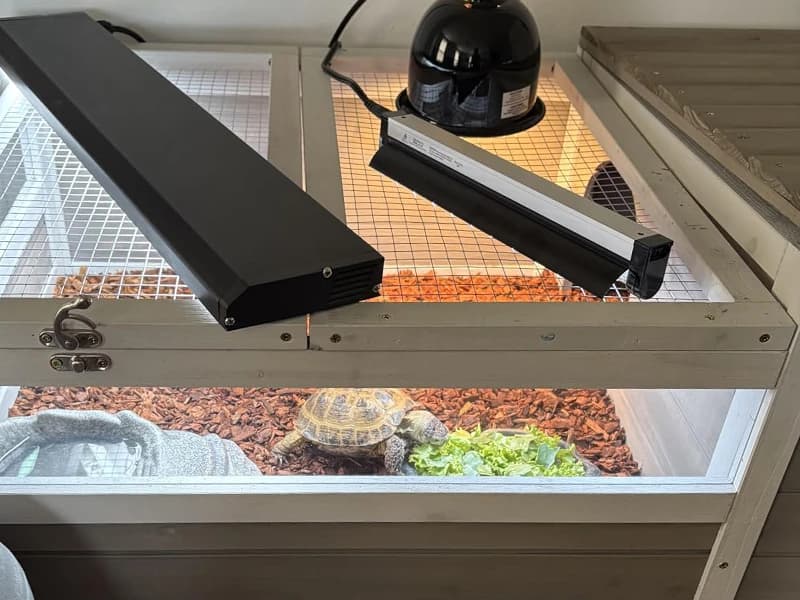 39" L Large Tortoise Enclosure — Voice of the Customer