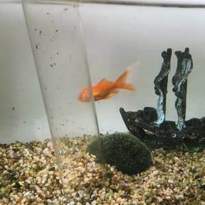 25ft Aquarium Vacuum Gravel Cleaner Fish Tank Cleaner Siphon Water Changer — collection imagery