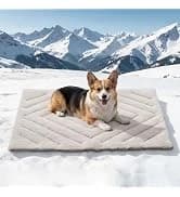 2 Packs Car Door Protector for Dogs — collection imagery