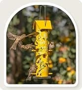 Metal Bird Feeders for Outdoors Hanging — collection imagery