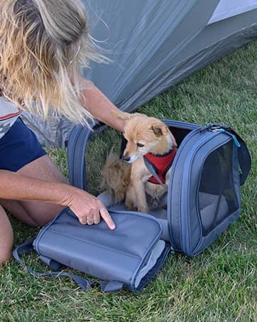 Outdoor Dog Bed — Cooling Elevated Pet Bed Portable Raised Dog Bed with Breathable Mesh — collection imagery