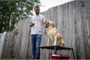 Final Stand Dog Adjustable Training Platform and Storage Panel | Hunting Stand | Elevated Pet System for Place — Style Name: FINAL STAND
