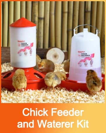 Chick Brooder Heater with Anti-Roost Cone and Constant Temp Red 12" x 12" — collection imagery