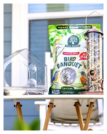 Window Bird Feeder with Strong Suction Cups — collection imagery