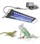 30 Gallon PVC Tall Reptile Tank — collection imagery