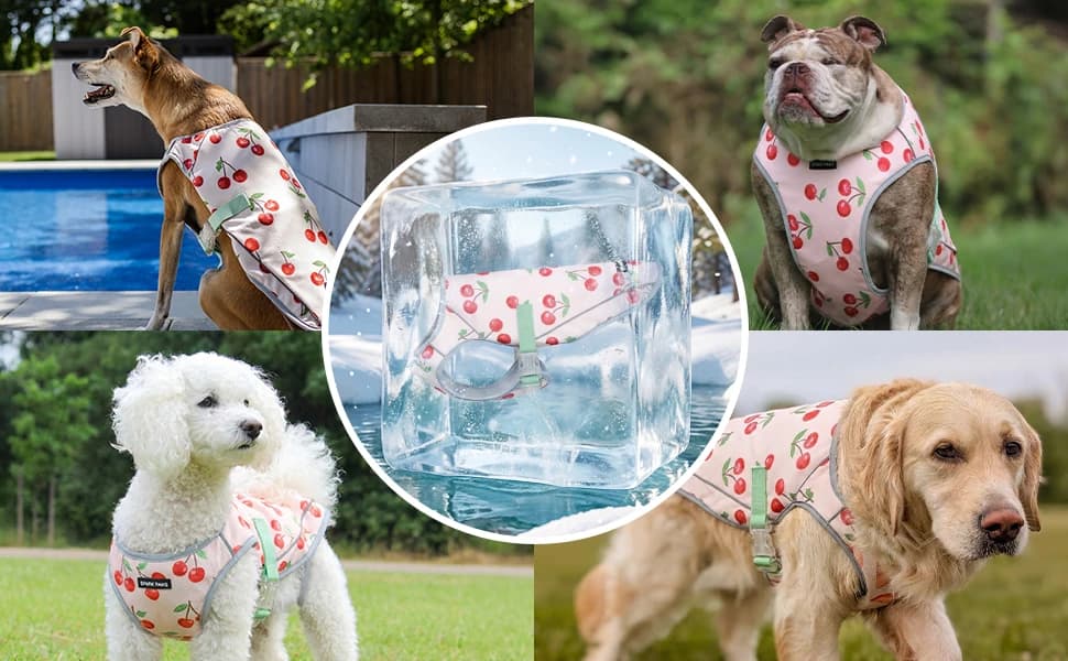 Dog Cooling Vest - Evaporative Summer Cooling — product details