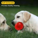 3.5” Squeaky Dog Toy Balls (6 Colors) Puppy Chew Toys for Teething