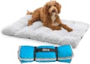 On-The-Go Travel Dog Bed — Portable Roll-Up Mat with Buckle