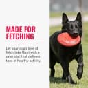 Flyer — Natural Rubber Flying Disc Fetch Toy