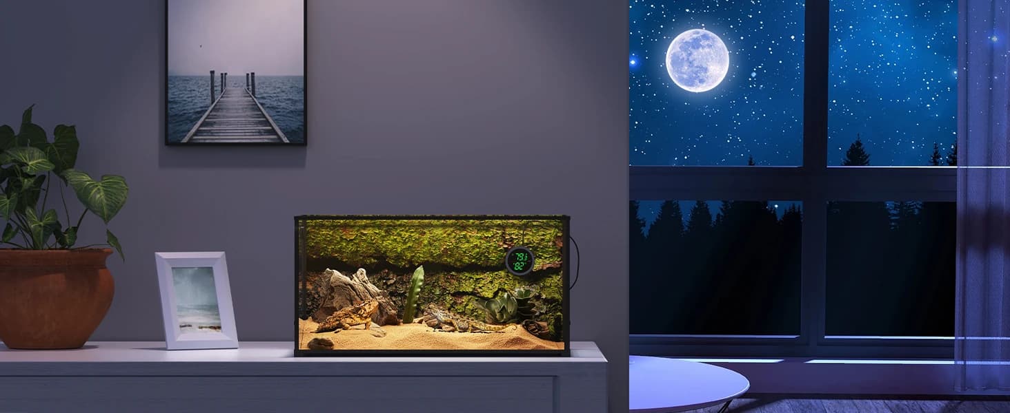Real-time Display LED Digital Reptile Thermometer and Humidity Gauge — product details