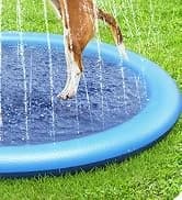 Dog Pool for Large Dogs — Foldable Hard Plastic — collection imagery