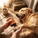 31 Pcs Dog Nail File, Wooden Manual Dog and Cat Nail Filer for Scratch Board with 30 Replaceable Discs